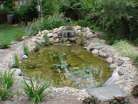 Small Pond Waterfall